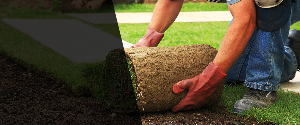 Pasco Landscapers